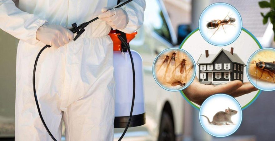 Villakent Böcek İlaçlama