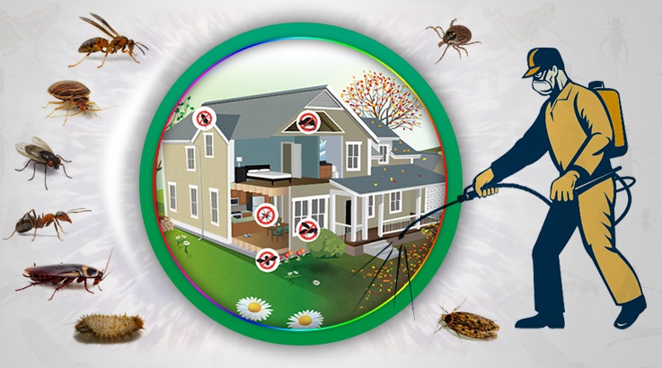 Villakent Böcek İlaçlama