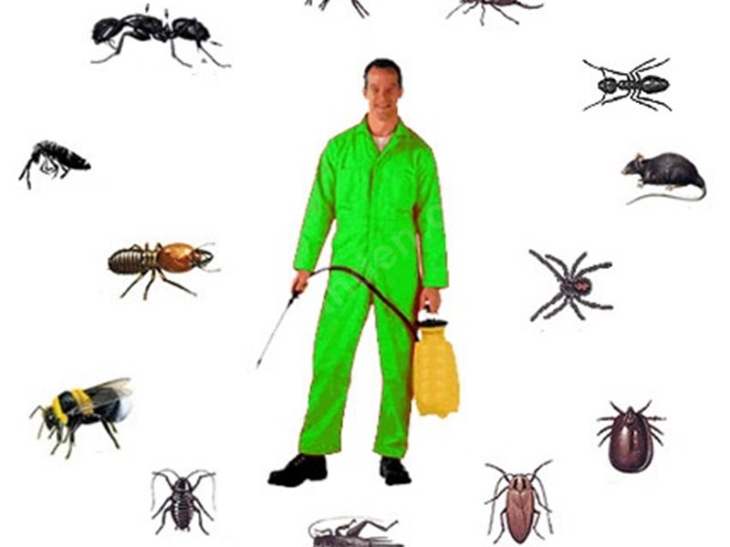 Villakent Böcek İlaçlama